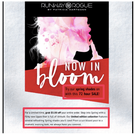 email marketing of Omnisend customer Runway Rogue