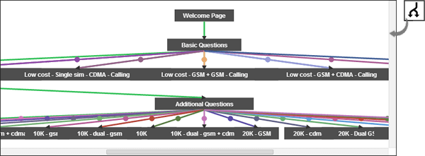 Your branching logic (displayed visually)