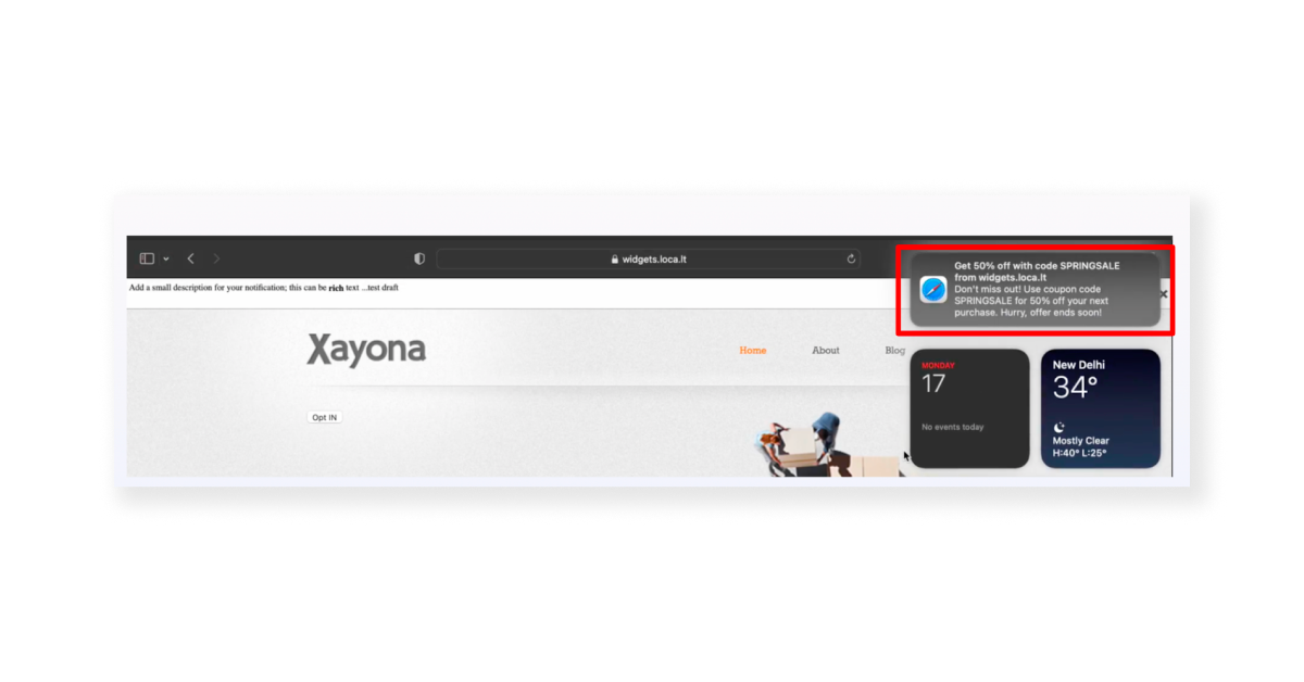 Black Friday Sale Popup